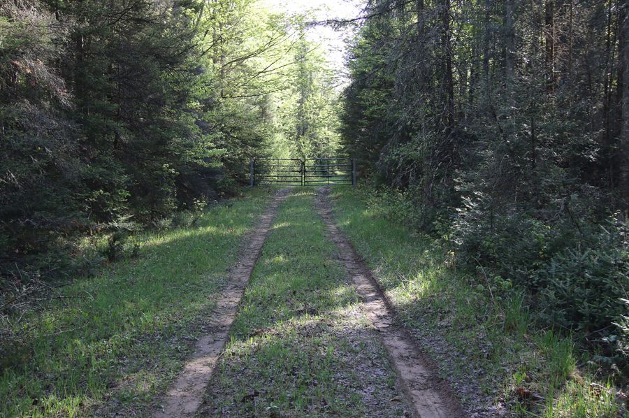 Menominee_MI_80_Knorr-01