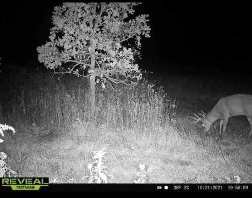 Resized_Screenshot_20240227-114556_Messages