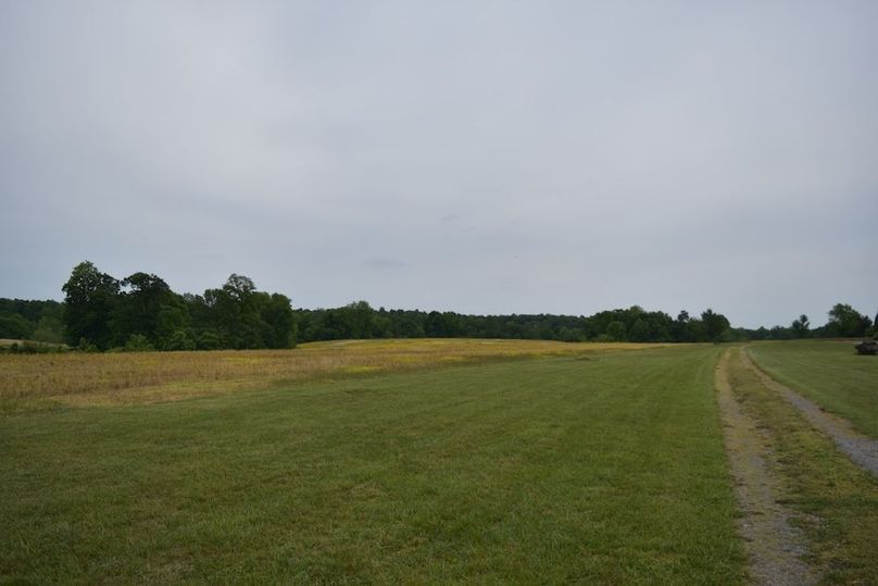 DSC_2565