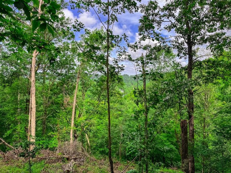 Wirt, WV 137.45 AC Full-16