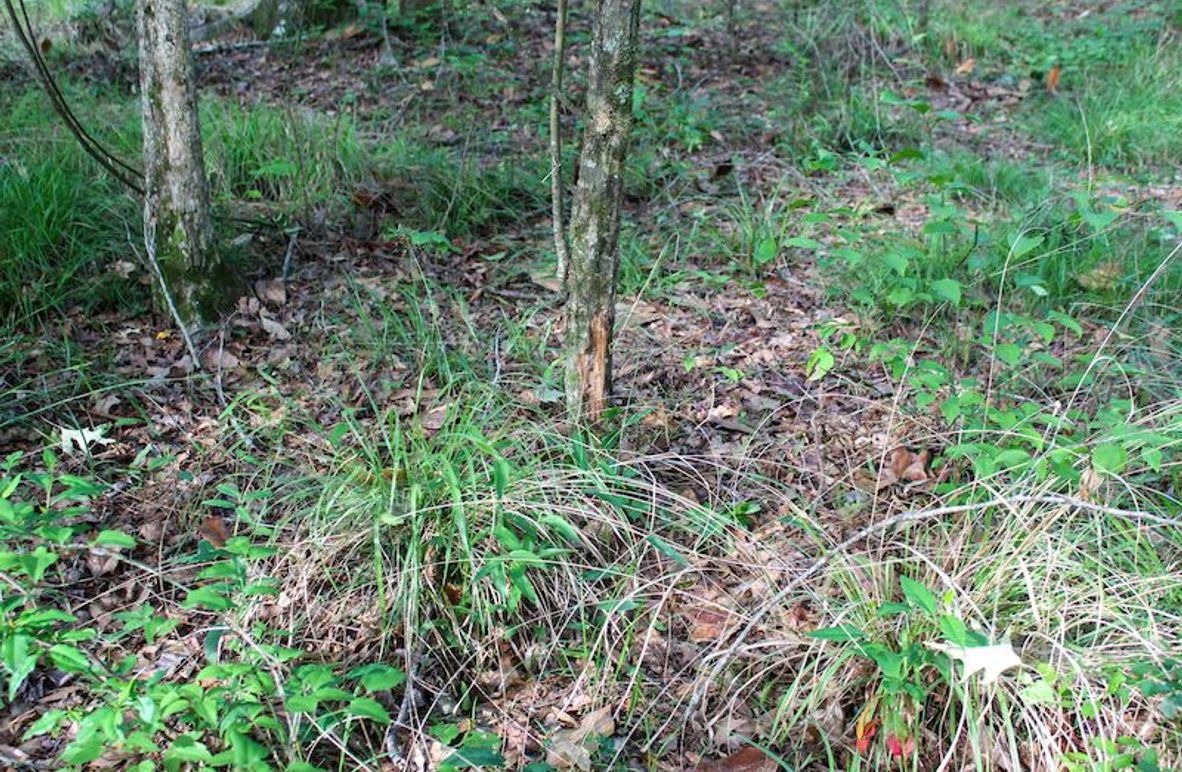 Copiah Co - 16 - Farmer-03