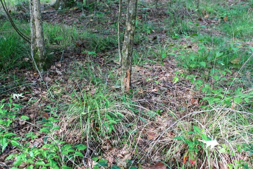 Copiah Co - 16 - Farmer-03