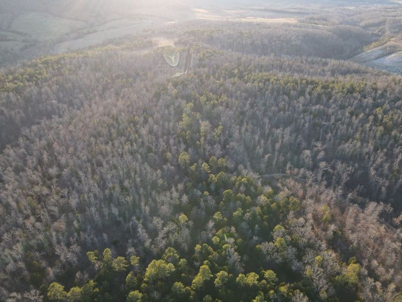DJI_0324