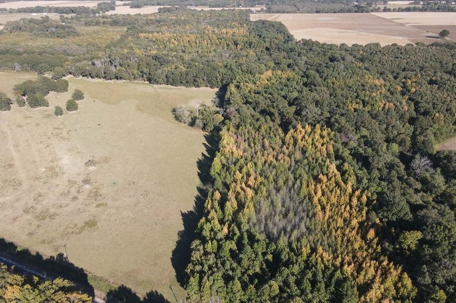 dji_fly_20241017_161042_344_1729199458336_photo 2