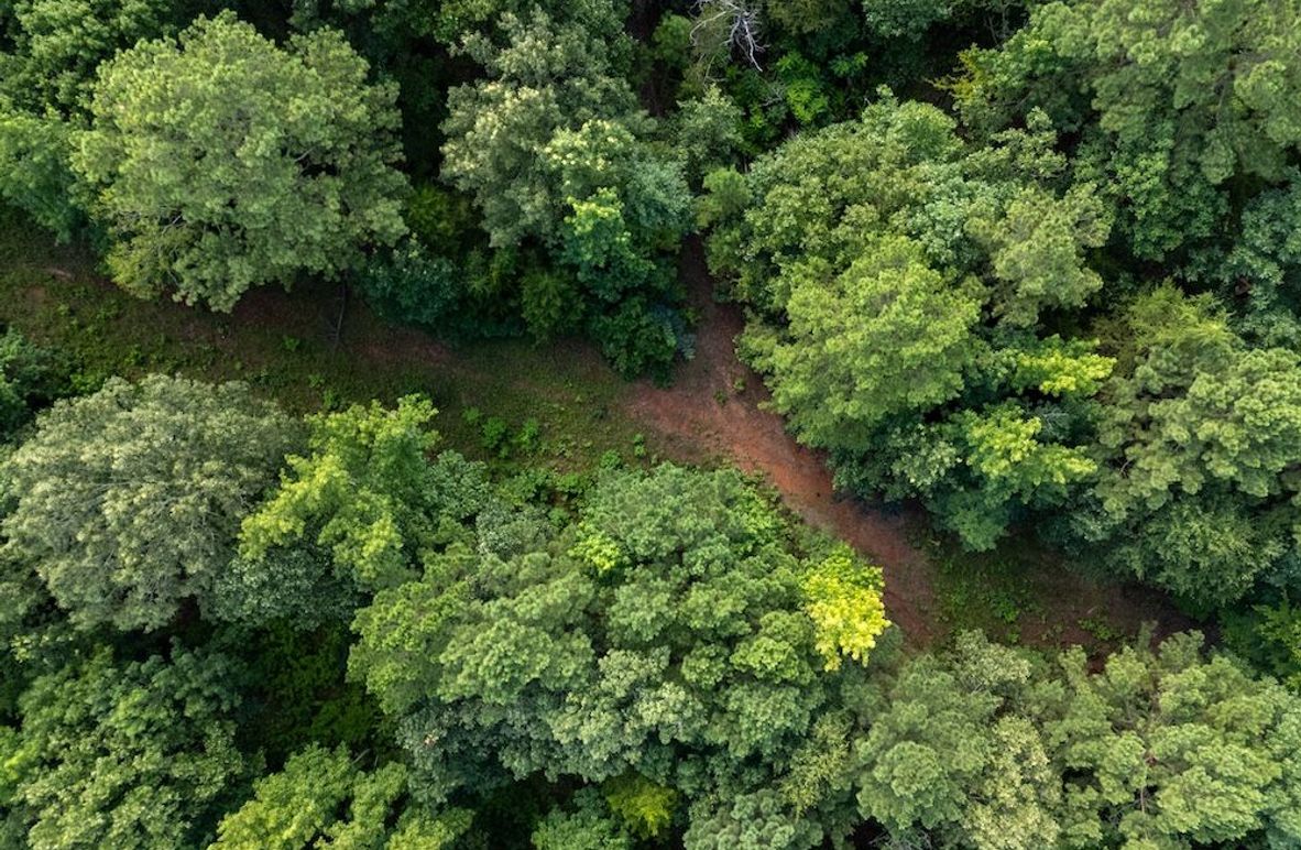 3 Upshur Co. 26ac - Genignani-02