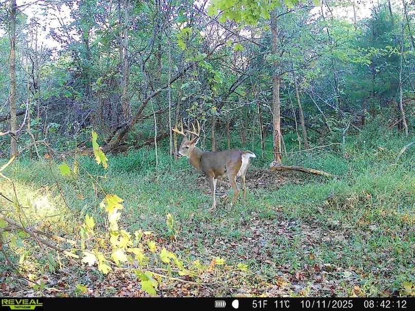 860322066773638-90-4-10112025135100-HD-SYFW4140