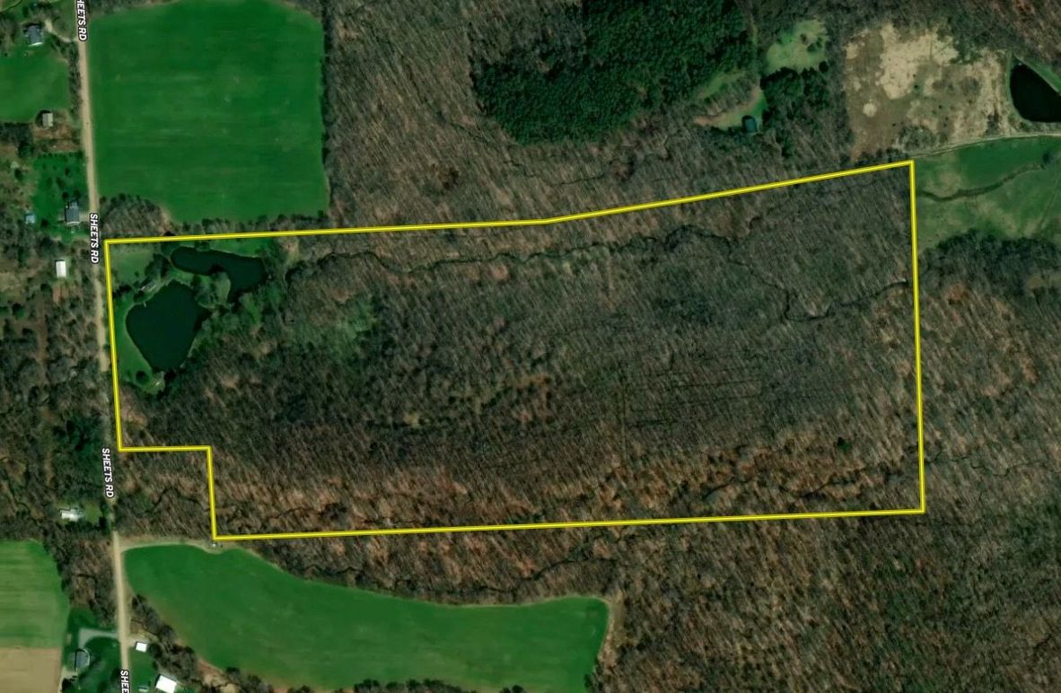 Screen Shot 2025-08-07 at 7.51.16 AM