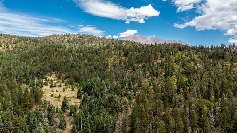 Copy of Los Alamos 508 6-24 Drone-31