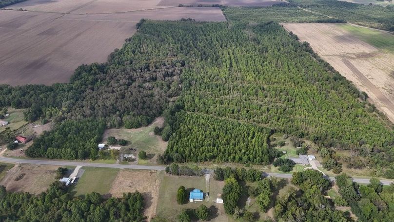 DJI_20251009043206_0775_D