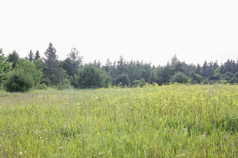 Mackinac20Fewins-6020