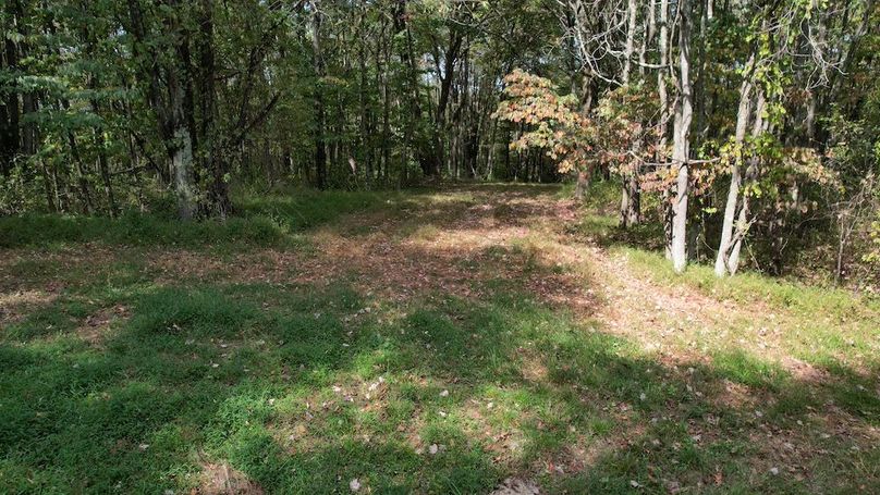 dji_fly_20250916_115918_763_1758038462323_photo