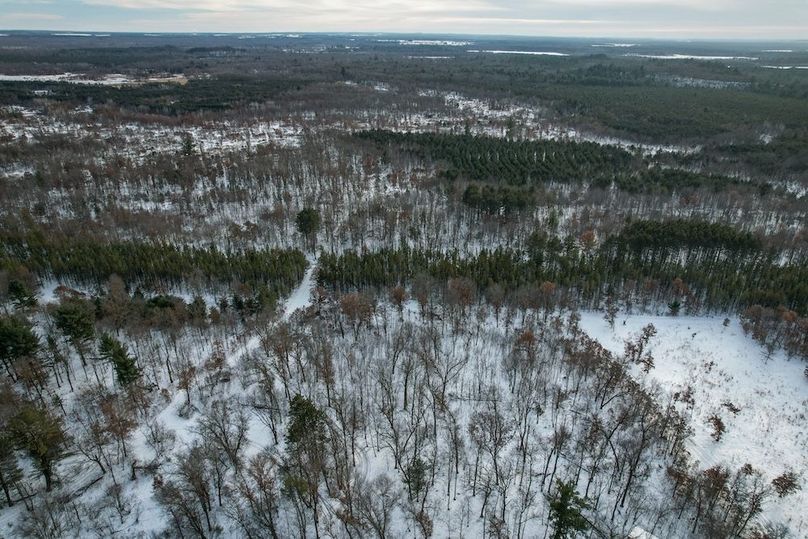 Adams 263.17, Hale -38