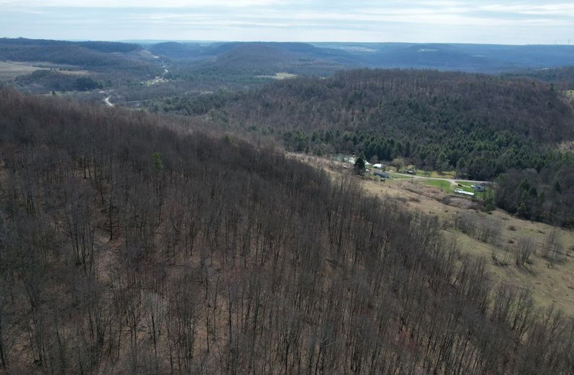 dji_fly_20260330_112554_218_1774884969660_photo