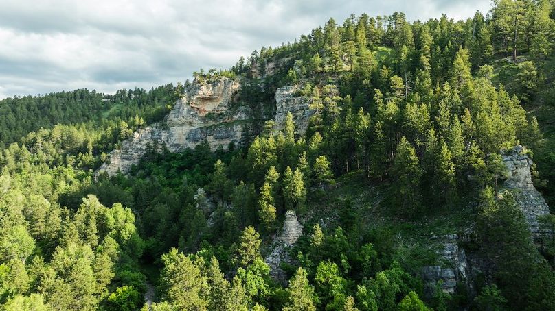 Lawrence SD 50 Featured_ProPhoto-38