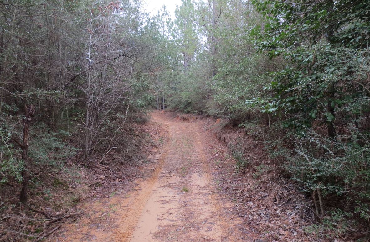 5FDB3C80-840F-481E-9FC5-F6D0B6A13A6F