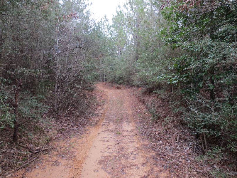 5FDB3C80-840F-481E-9FC5-F6D0B6A13A6F