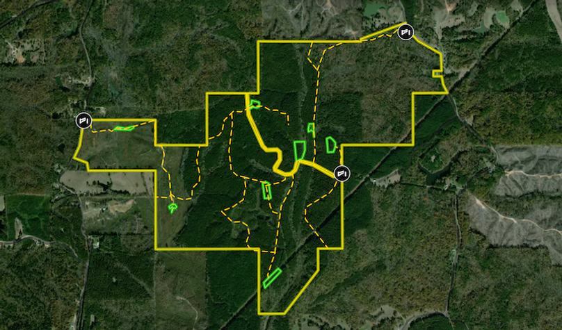 Screenshot 2025-09-22 at 12.00.45 PM