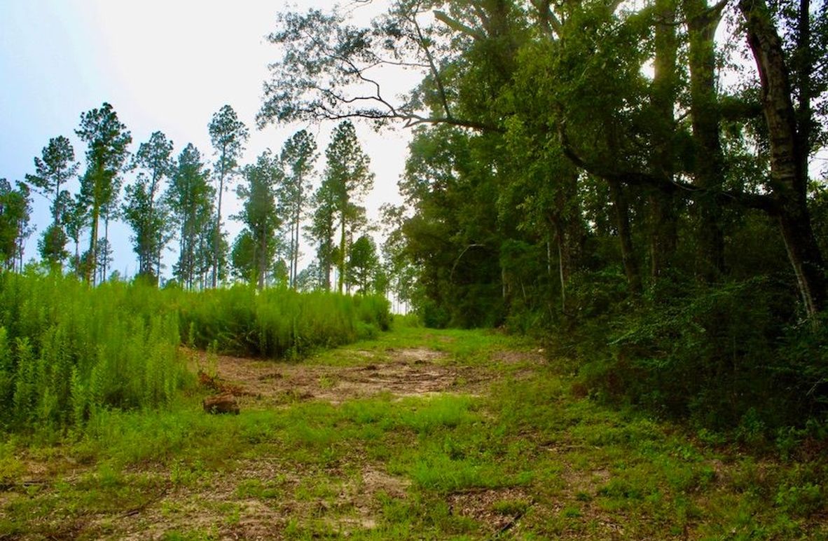 6F2D3EE2-04FF-4746-AA9A-46BBE18EE798_1_105_c