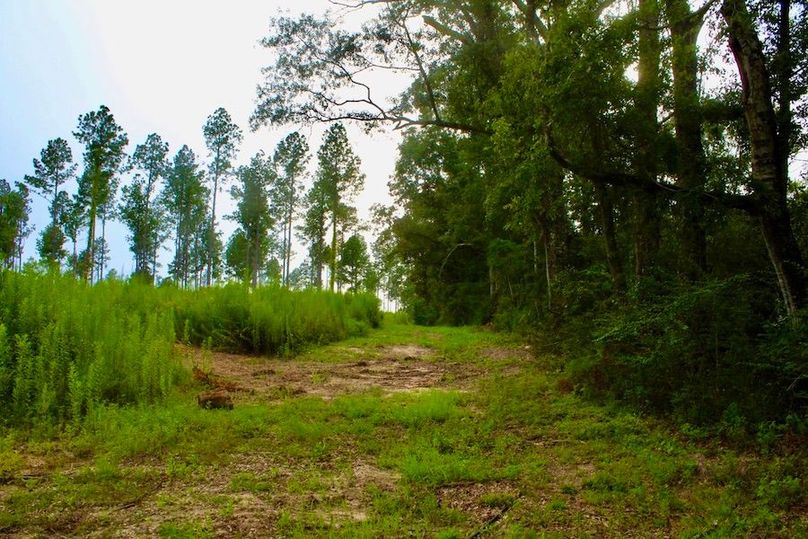 6F2D3EE2-04FF-4746-AA9A-46BBE18EE798_1_105_c