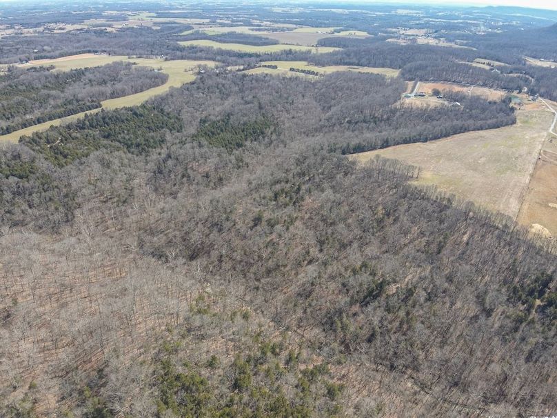 7-DJI_20260228134630_0002_W