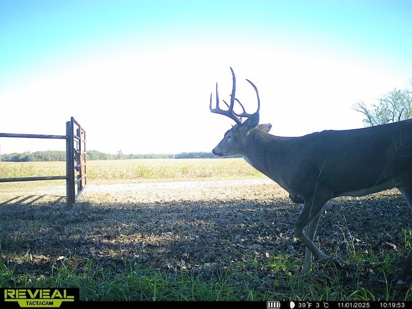 860322065433796-100-4-11012025133803-HD-SYEW3341