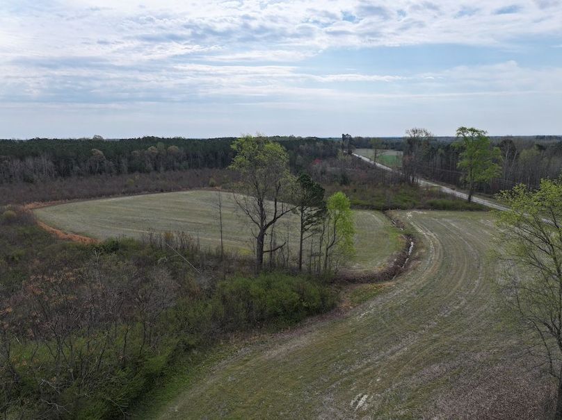 DJI_20260303065736_0612_D