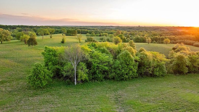 Harrison Grand Trace-65