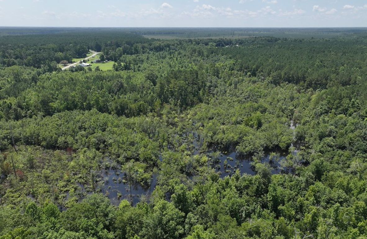 DJI_20250627111331_0139_D