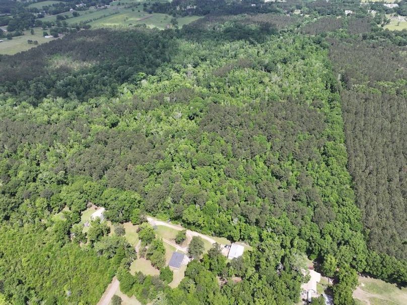 dji_fly_20260413_103406_0003_1776114945925_photo