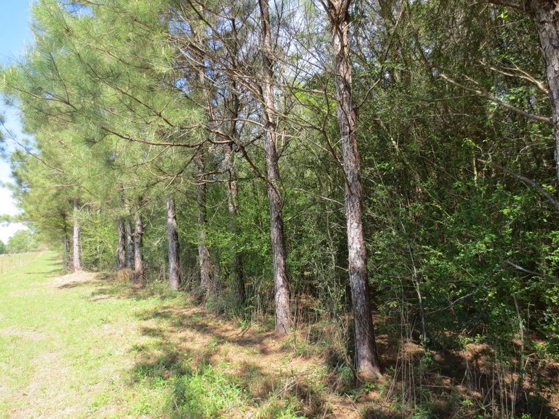 43E5A903-342E-4830-8D6B-C34EEAE0EEE5_1_105_c