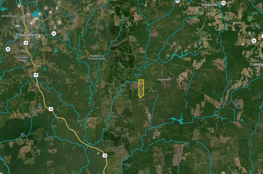 Upson county 183.03 acres map3