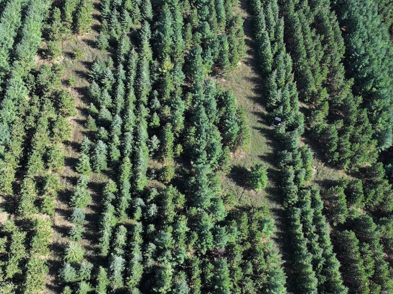 dji_fly_20240924_142208_0290_1727213958034_photo