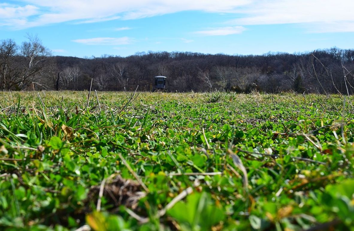 DSC_0273_inPixio (2)