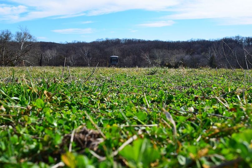 DSC_0273_inPixio (2)