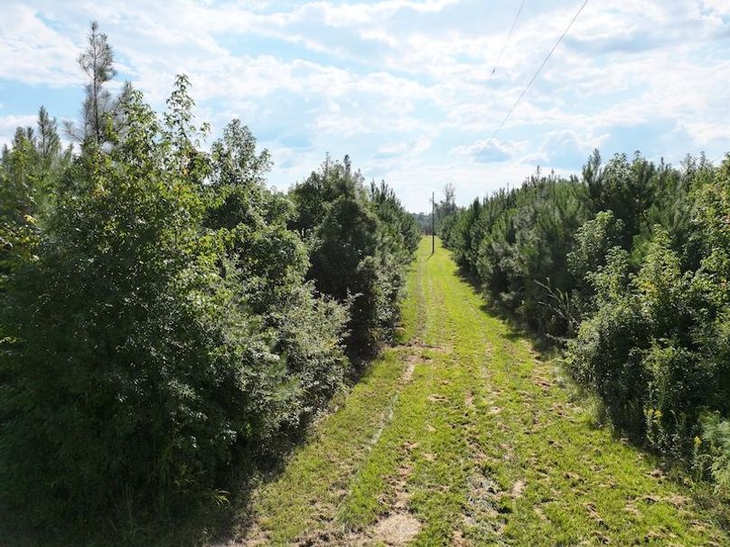 dji_fly_20251001_161916_0654_1759492678133_photo