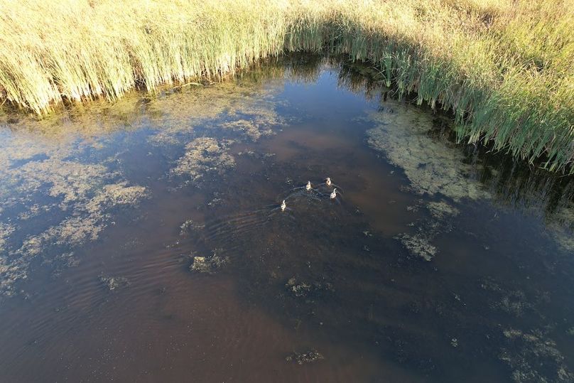 dji_fly_20250922_180904_970_1758582765933_photo