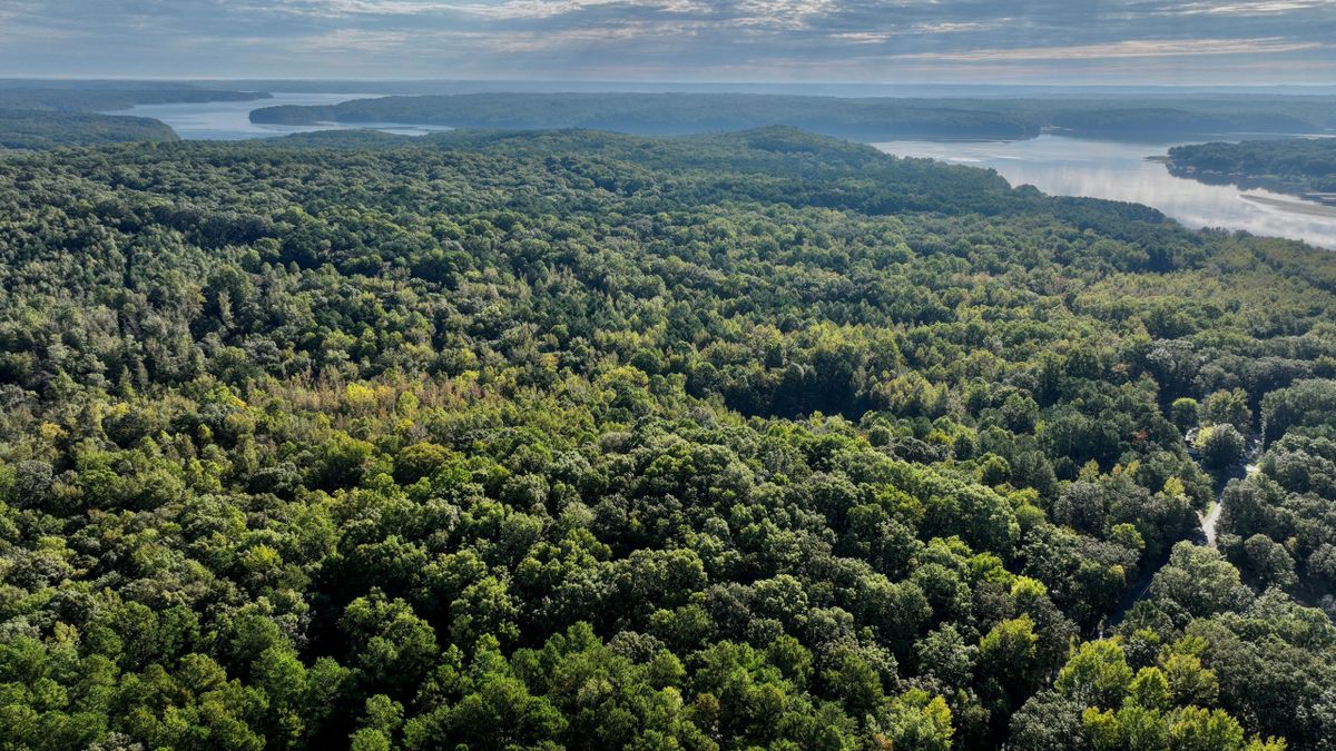 Hunting Retreat With Build Site Potential Near Kentucky Lake