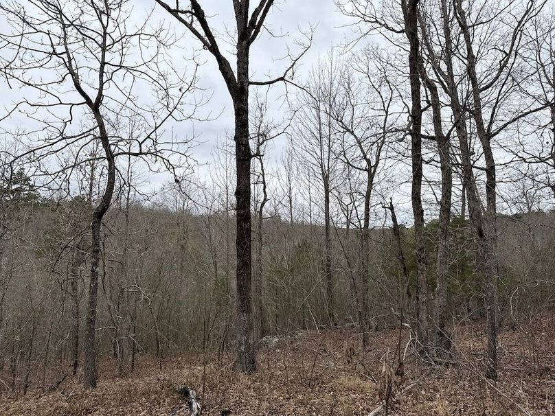 DJI_20260324_104010_474