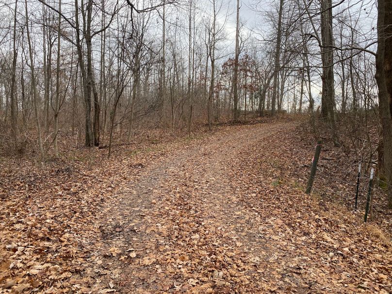 013 gravel county access road covered with the fall leaves copy