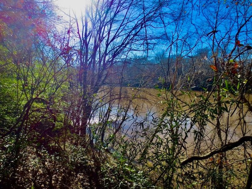 DB48B96D-7941-4968-9F36-861D4604A2A7_1_105_c