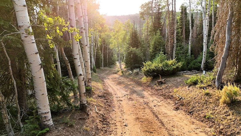 DJI_20250726191631_0337_D