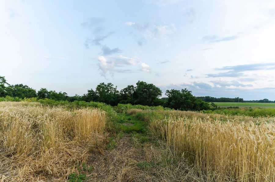_A748388-HDR