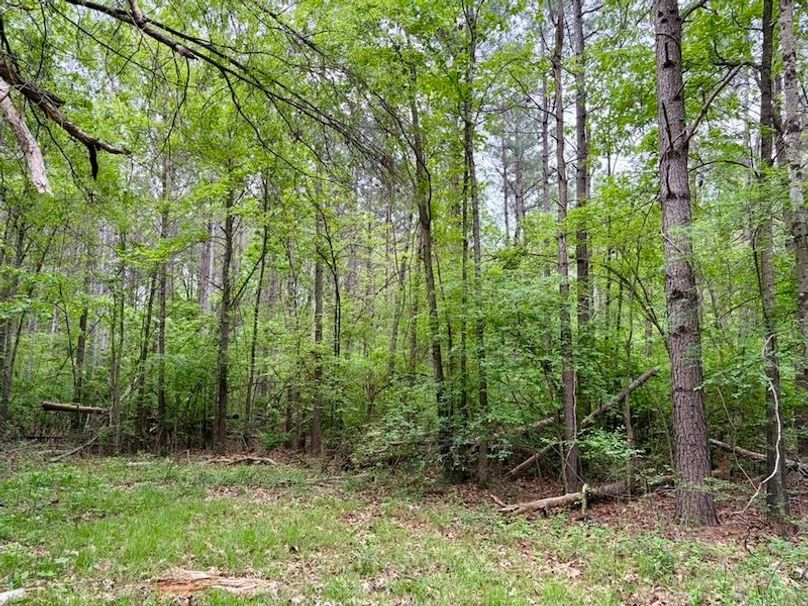 9D9C1C23-B21D-4BAD-B5BA-C0BE3E3BDF59_1_105_c