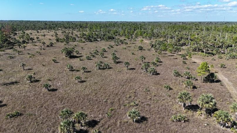 DJI_20251119125104_0996_D