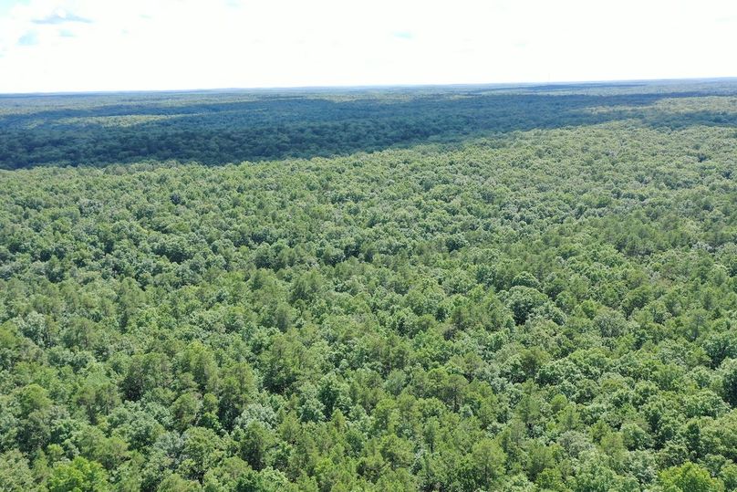 DJI_0009