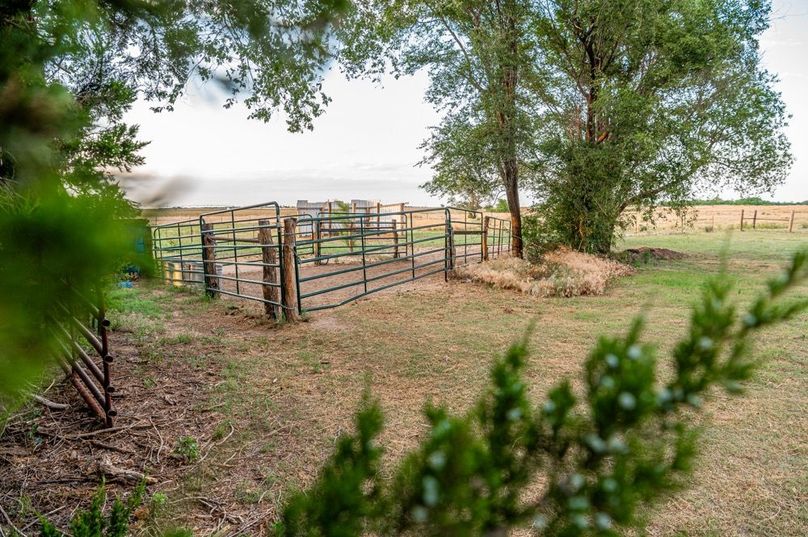 Comanche Co KS 29-18
