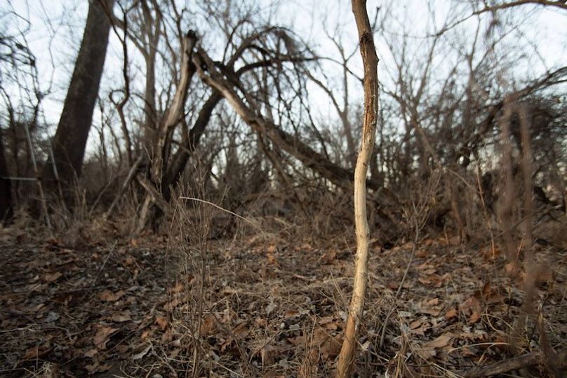 ATCHISON CO MO 56_24