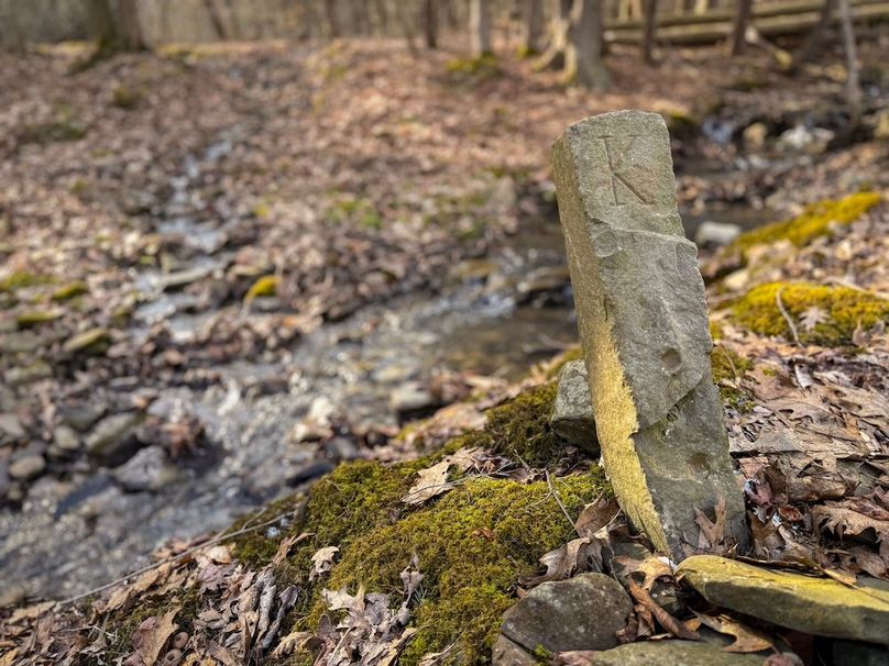 Chemung_59.65_Kocsis_photos_43