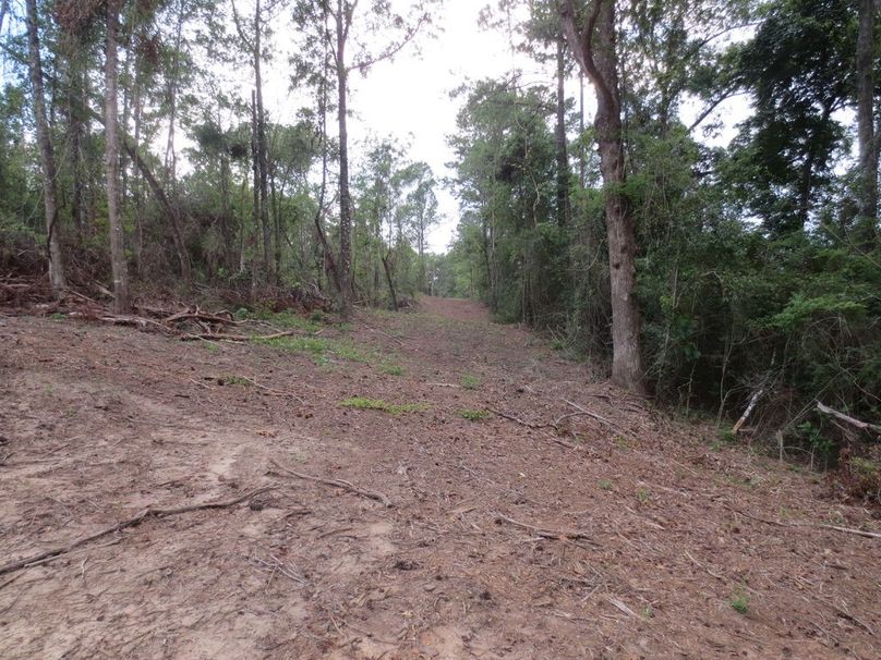 FD3848CC-EFC0-4C5F-AAD7-0284AD10C5F5_1_105_c