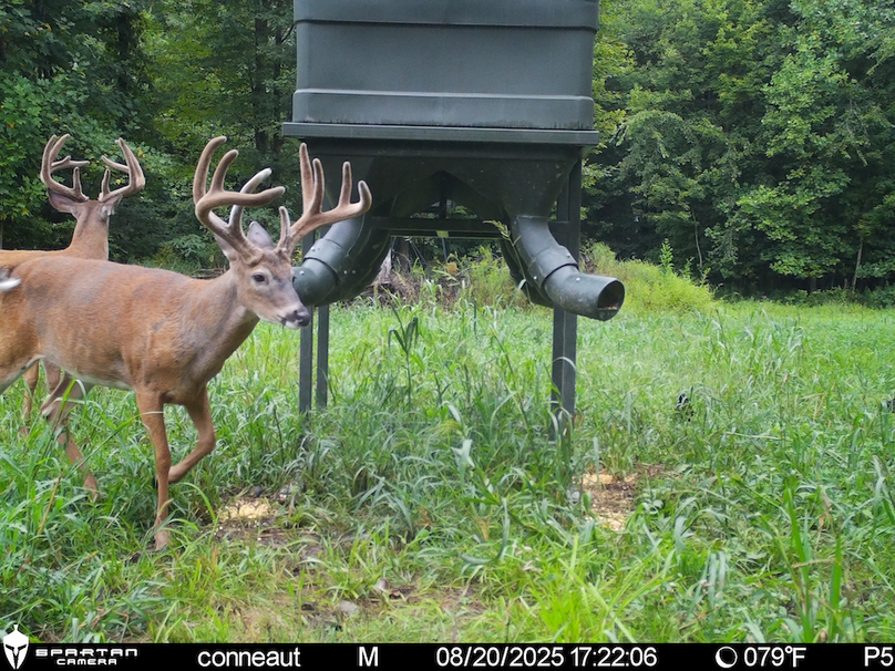 File Aug 20 2025, 6 47 21 PM